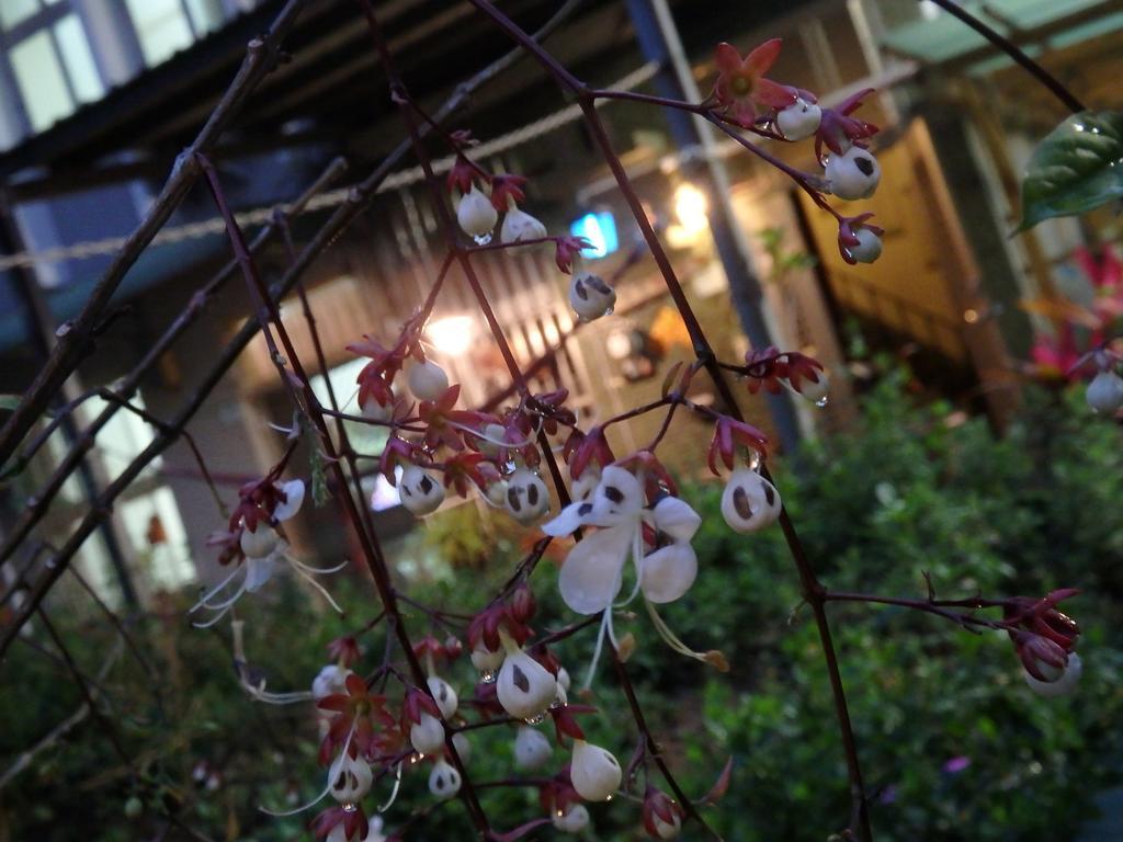 Tainan Guest House Hamuya Exterior photo